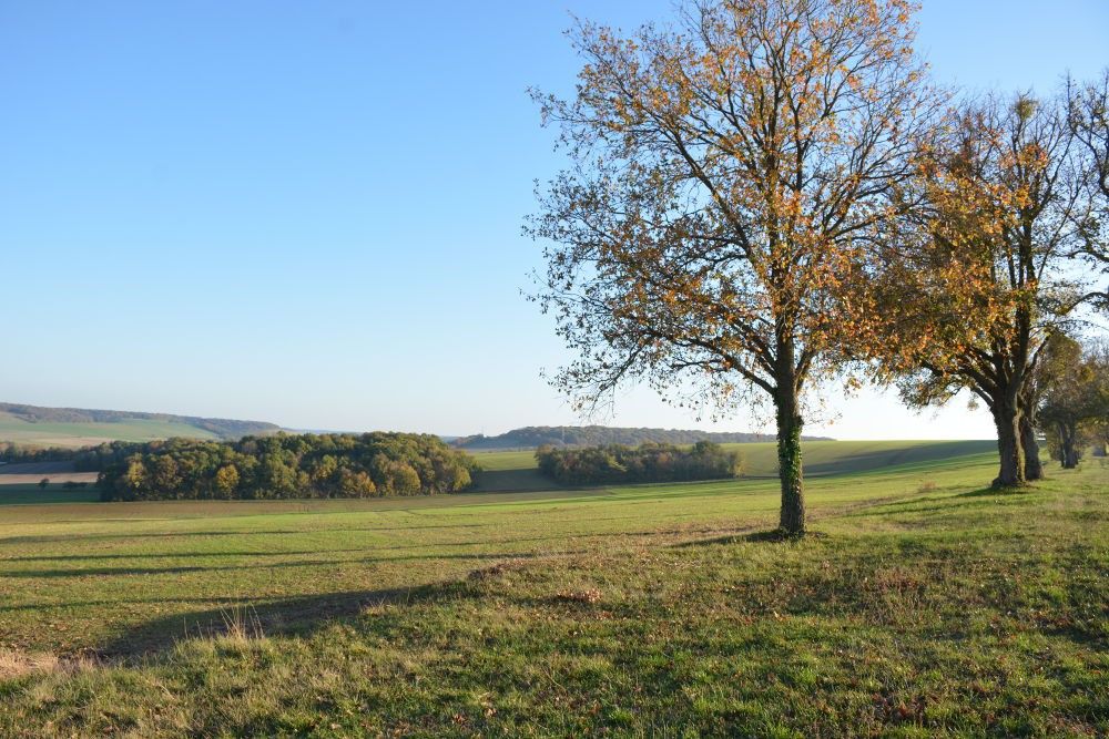 www.ccportesdupaysdothe.fr