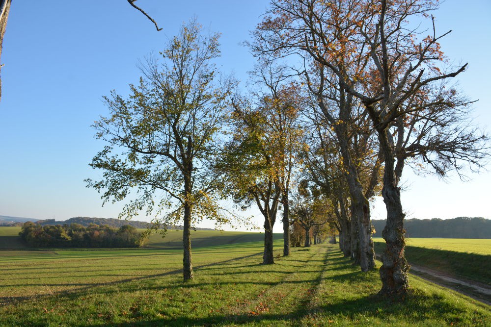 www.ccportesdupaysdothe.fr