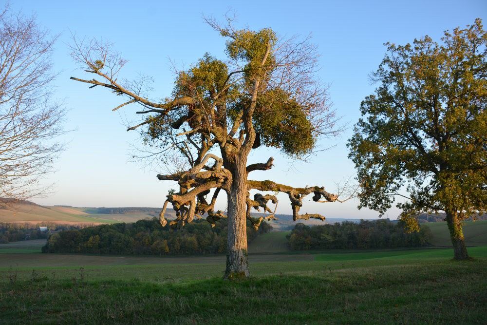 www.ccportesdupaysdothe.fr
