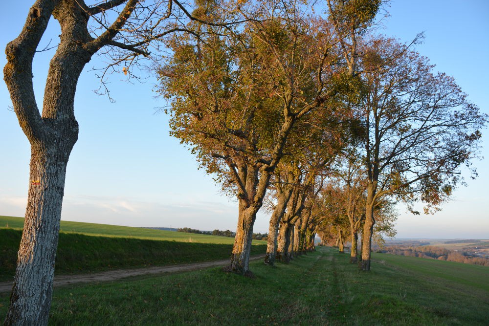 www.ccportesdupaysdothe.fr