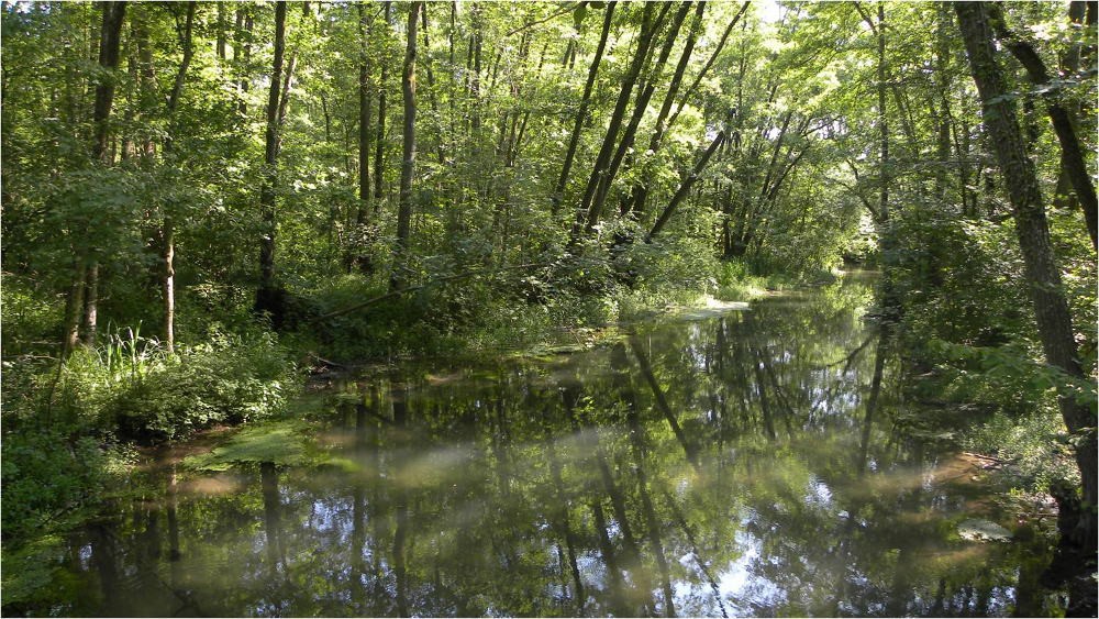 www.ccportesdupaysdothe.fr