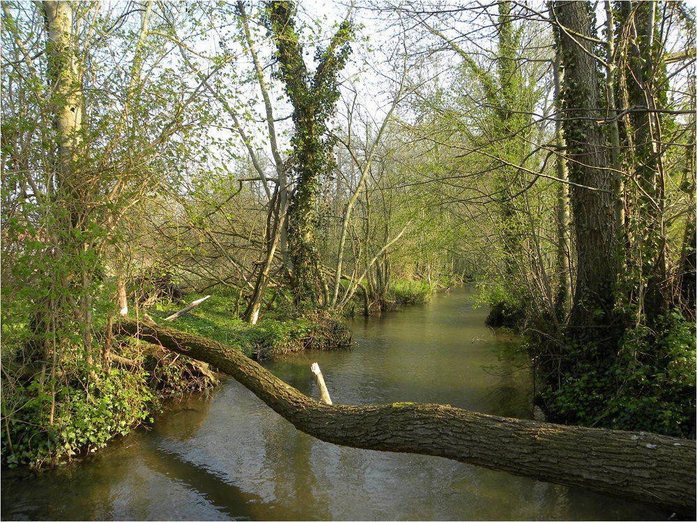 www.ccportesdupaysdothe.fr