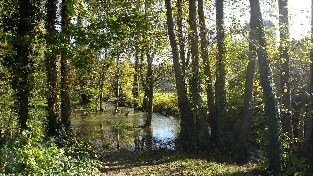 www.ccportesdupaysdothe.fr