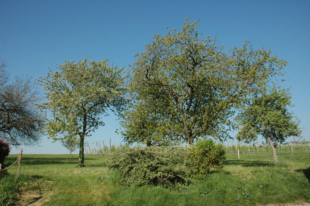 www.ccportesdupaysdothe.fr