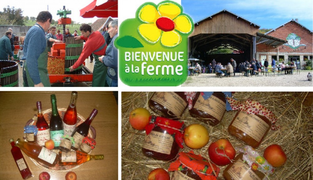 www.ccportesdupaysdothe.fr