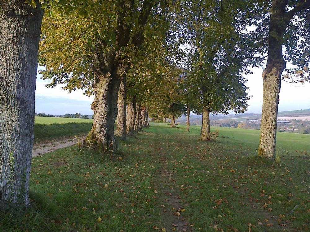 www.ccportesdupaysdothe.fr