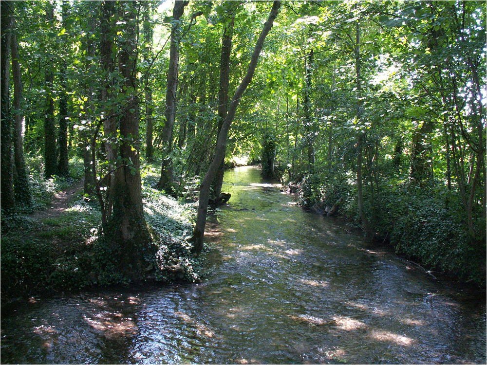 www.ccportesdupaysdothe.fr
