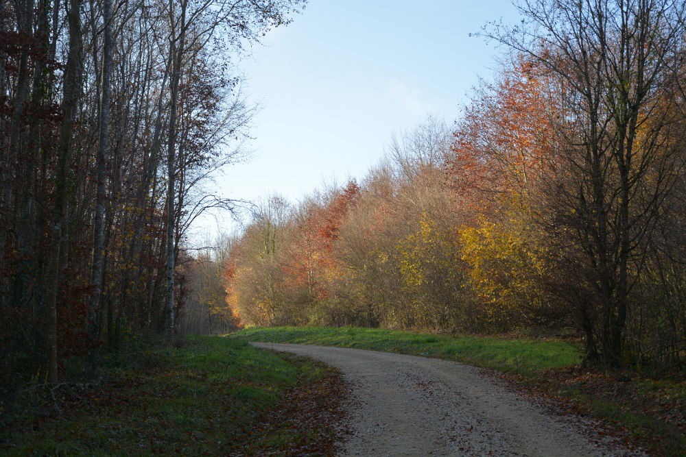 www.ccportesdupaysdothe.fr