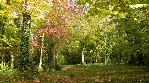 www.ccportesdupaysdothe.fr