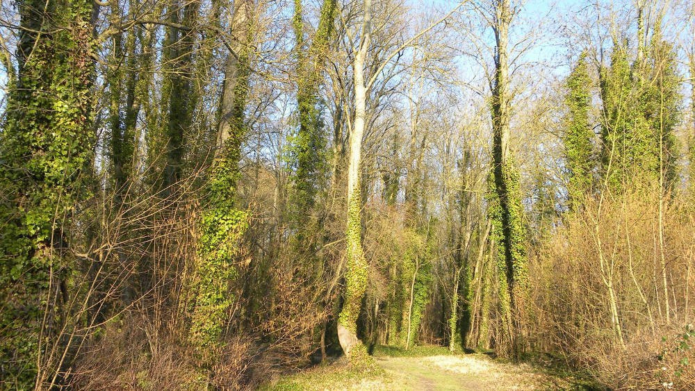 www.ccportesdupaysdothe.fr