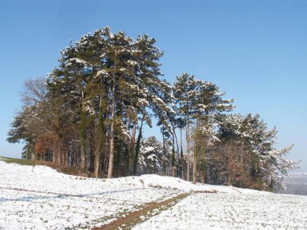 www.ccportesdupaysdothe.fr