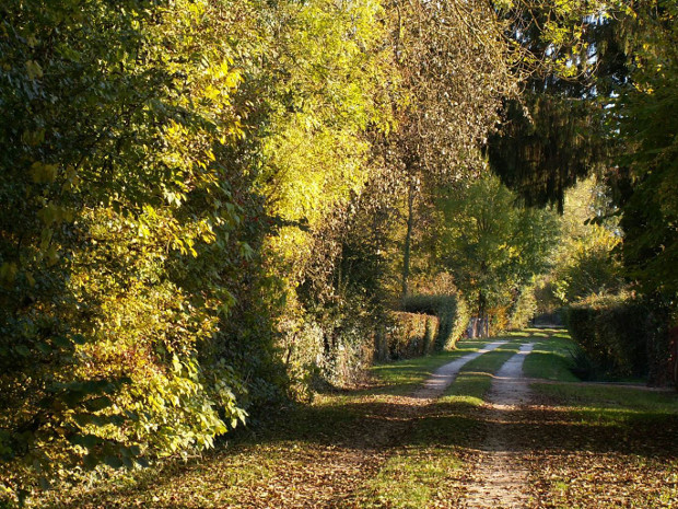 www.ccportesdupaysdothe.fr