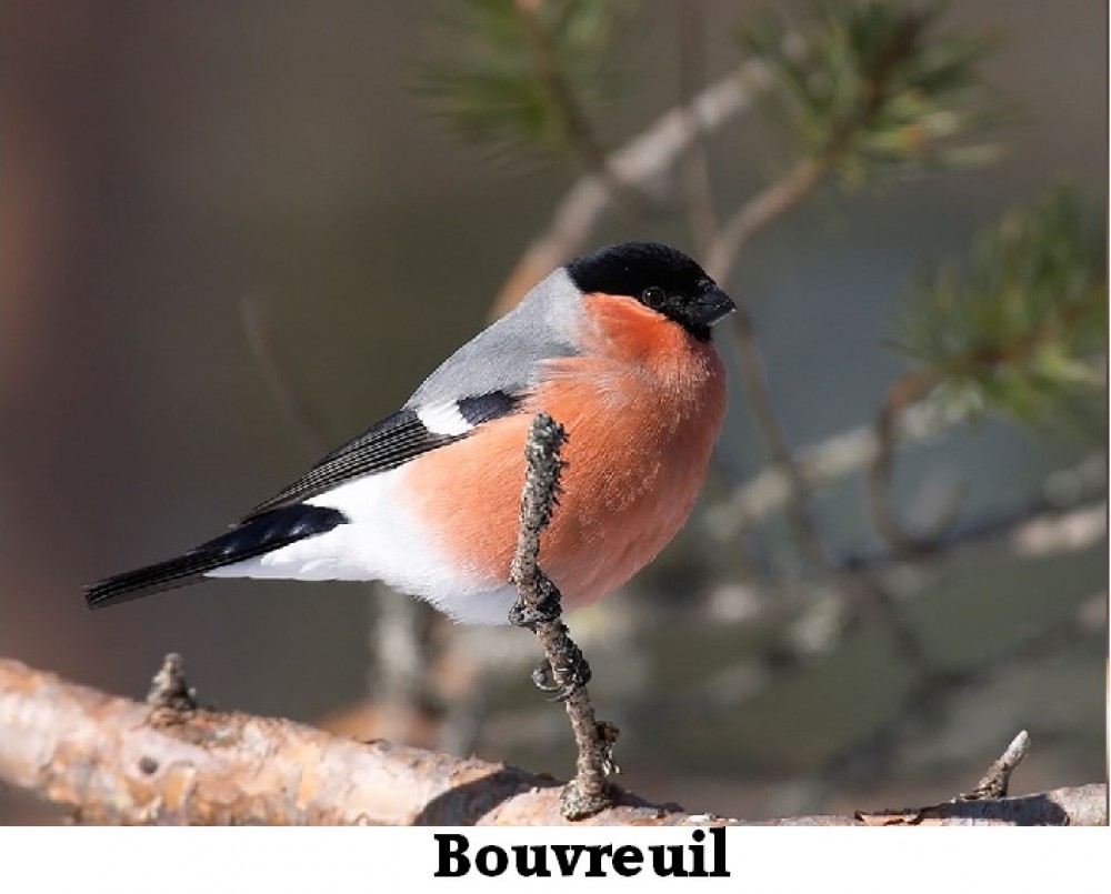 www.ccportesdupaysdothe.fr