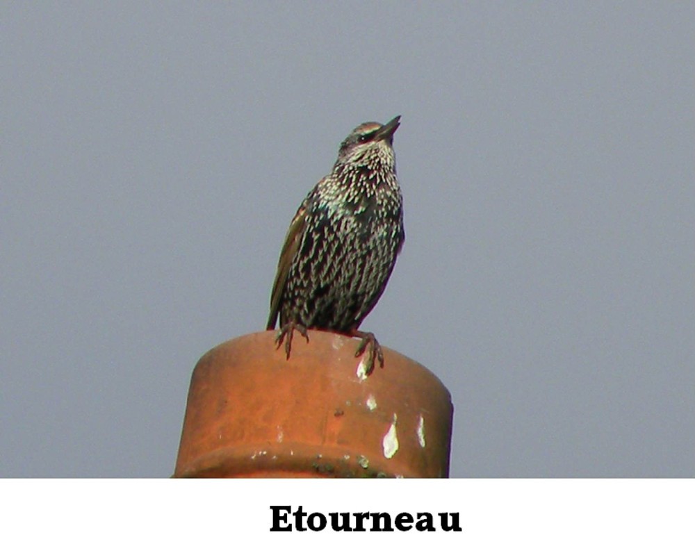 www.ccportesdupaysdothe.fr