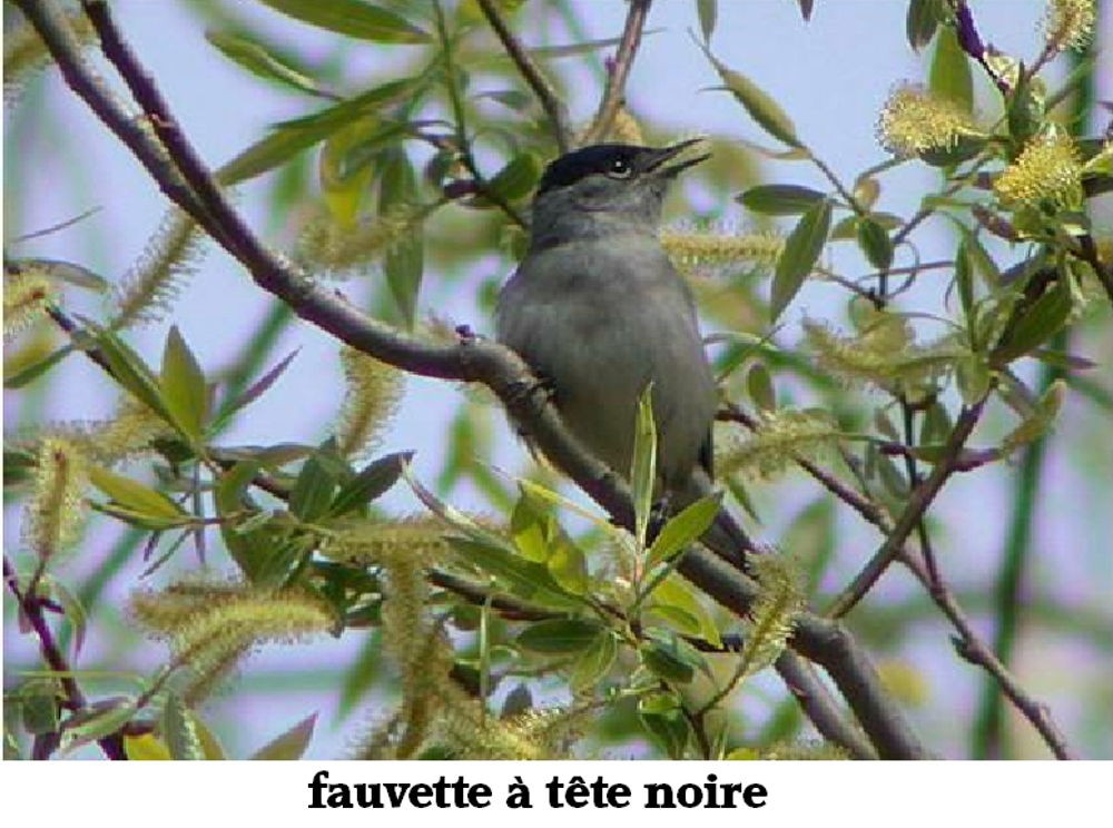 www.ccportesdupaysdothe.fr