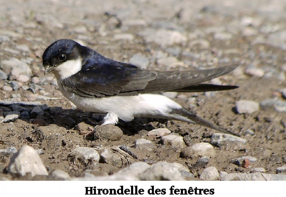 www.ccportesdupaysdothe.fr