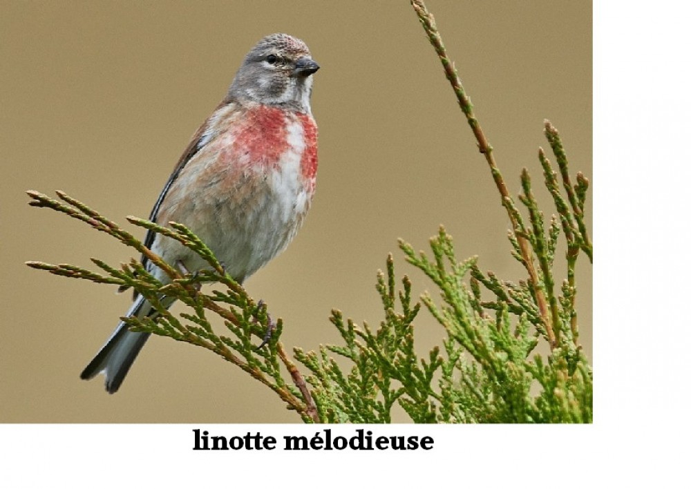 www.ccportesdupaysdothe.fr