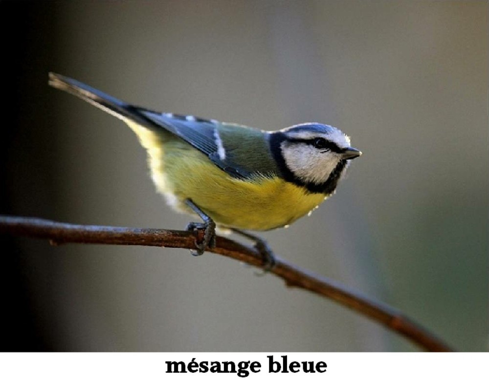 www.ccportesdupaysdothe.fr