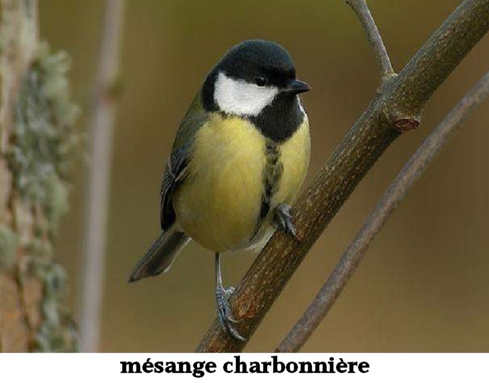 www.ccportesdupaysdothe.fr