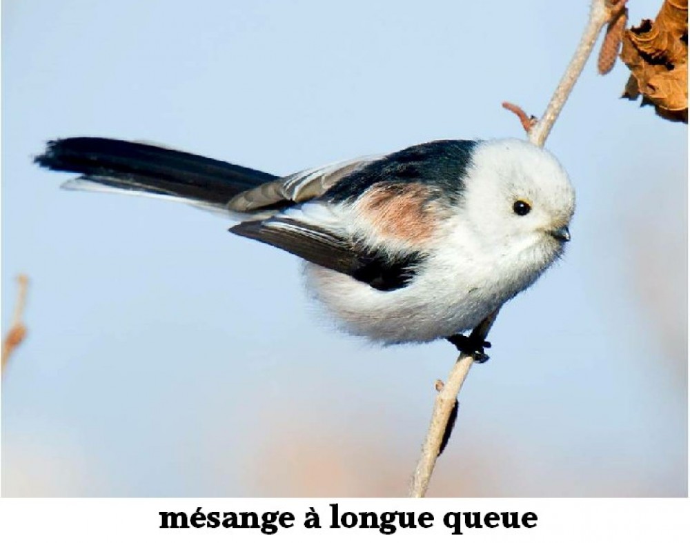 www.ccportesdupaysdothe.fr
