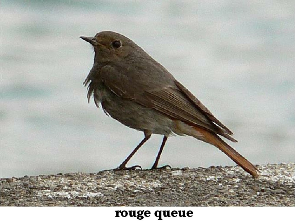 www.ccportesdupaysdothe.fr