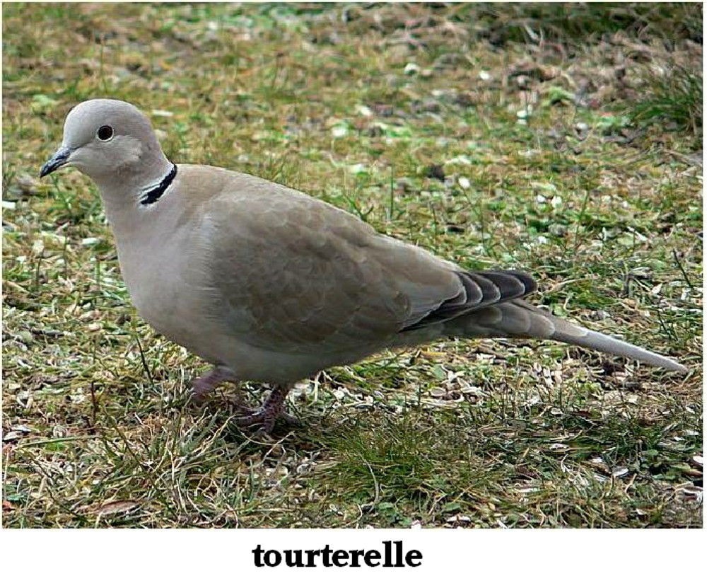 www.ccportesdupaysdothe.fr