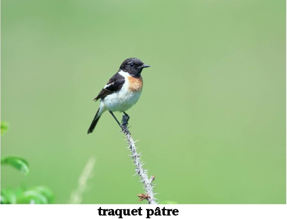 www.ccportesdupaysdothe.fr