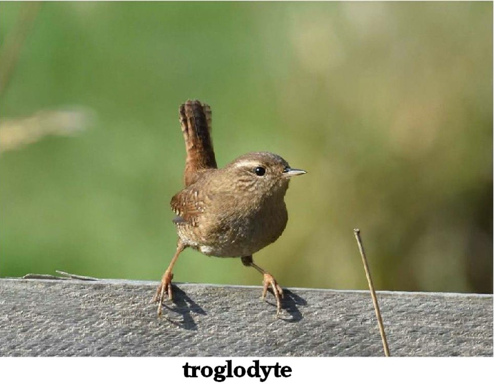 www.ccportesdupaysdothe.fr