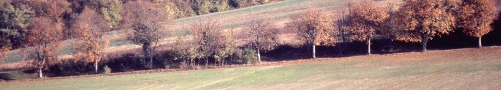 www.ccportesdupaysdothe.fr